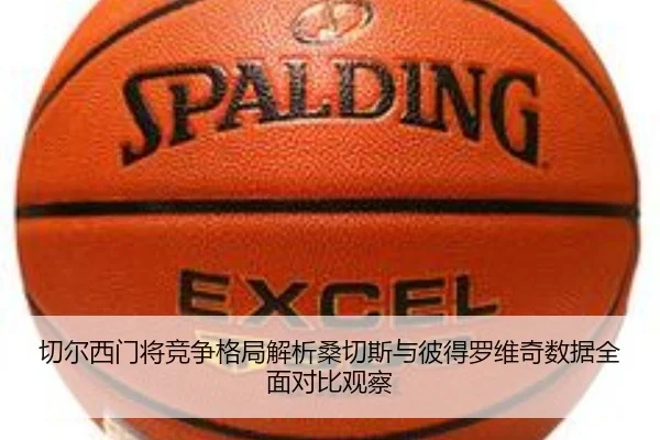 切尔西门将竞争格局解析桑切斯与彼得罗维奇数据全面对比观察